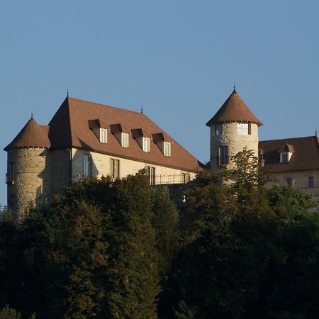 Serezin-de-la-Tour La Tour De Quinsonnas Bed & Breakfast エクステリア 写真