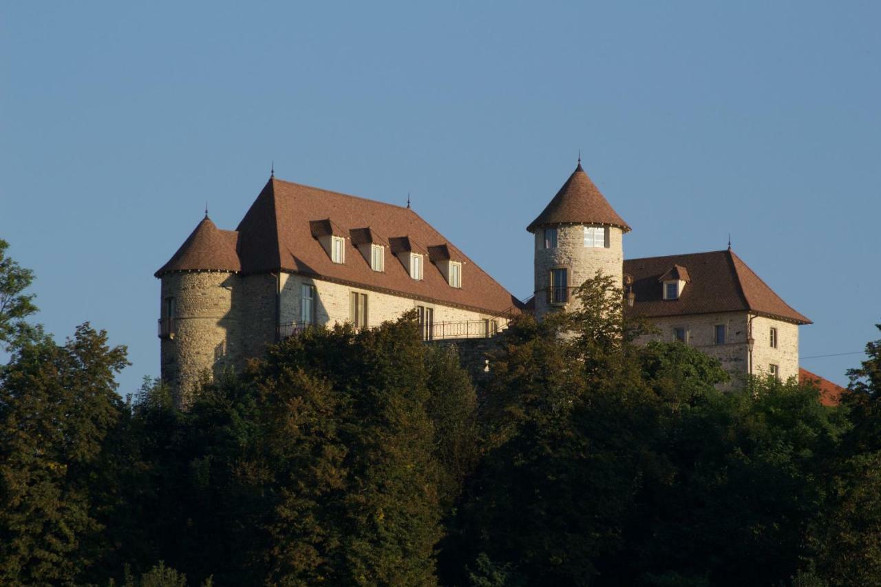 Serezin-de-la-Tour La Tour De Quinsonnas Bed & Breakfast エクステリア 写真