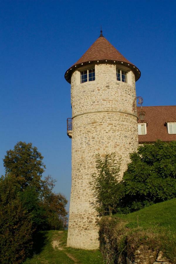 Serezin-de-la-Tour La Tour De Quinsonnas Bed & Breakfast エクステリア 写真